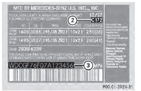 Example: vehicle identification plate (USA only)