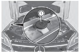 Example: washer fluid reservoir in AMG vehicles
